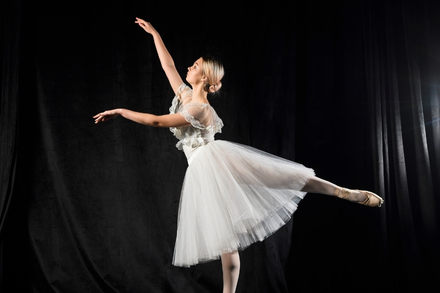 Ejercicios Básicos de Ballet