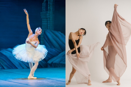 Diferencias entre el Ballet y la Danza