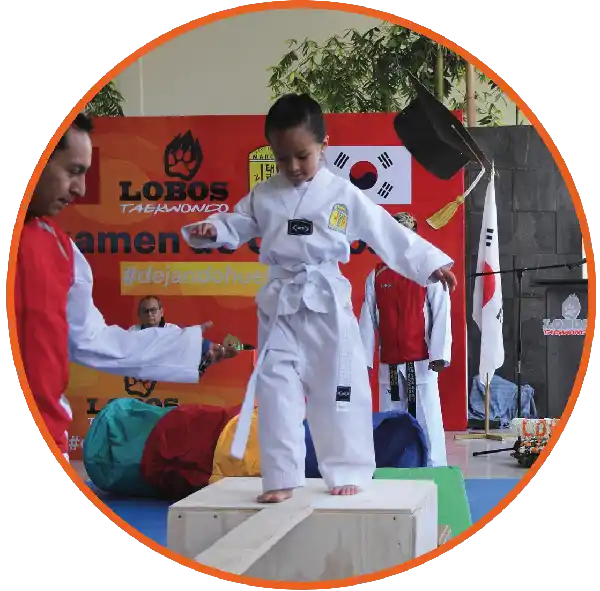 Niña rompiendo tabla en clase de Taekwondo en Lobos Taekwondo Mineral de la Reforma